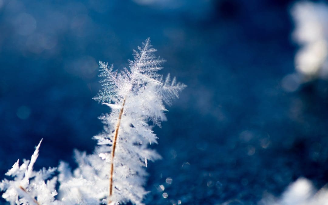 célébration pour le solstice d’hiver,Yule, “oracles et instants de reliance”, 19 ou 21 décembre dordogne